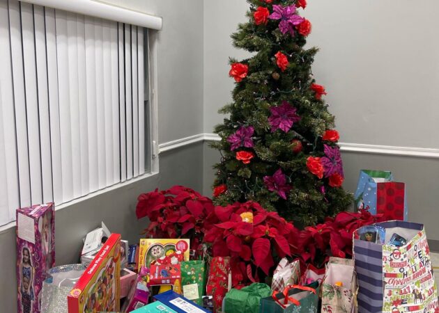 HANA 2022 Toy Drive